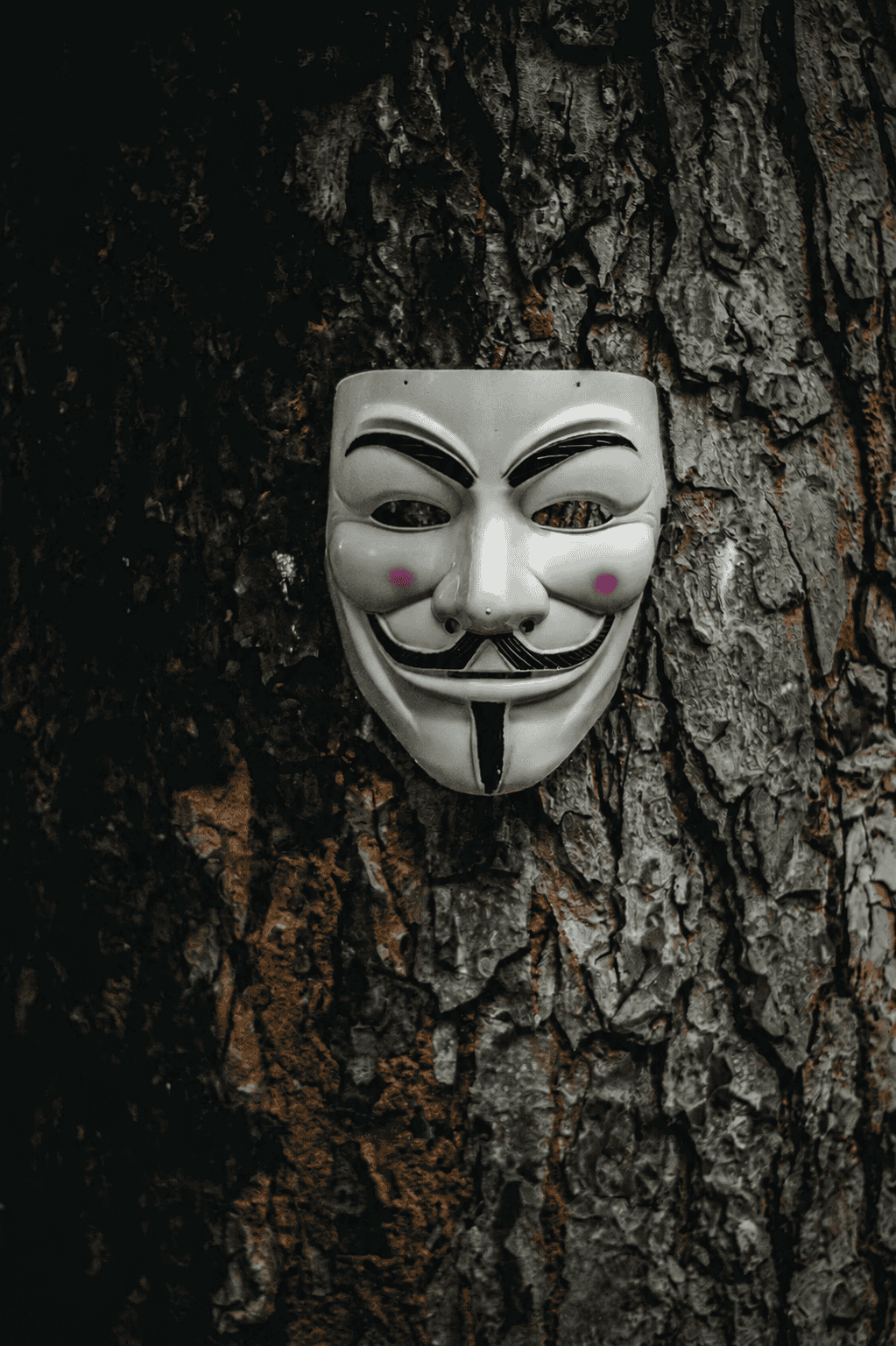 Anonymous — frame 06