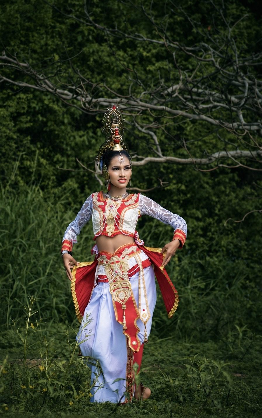 Elegance of Traditional Dance — frame 01