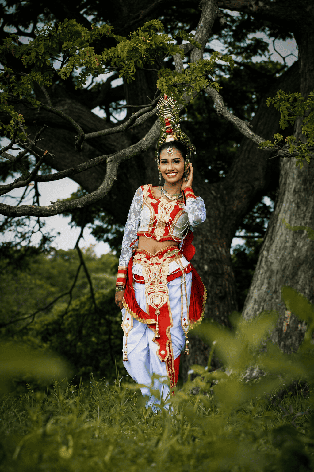 Elegance of Traditional Dance — frame 02