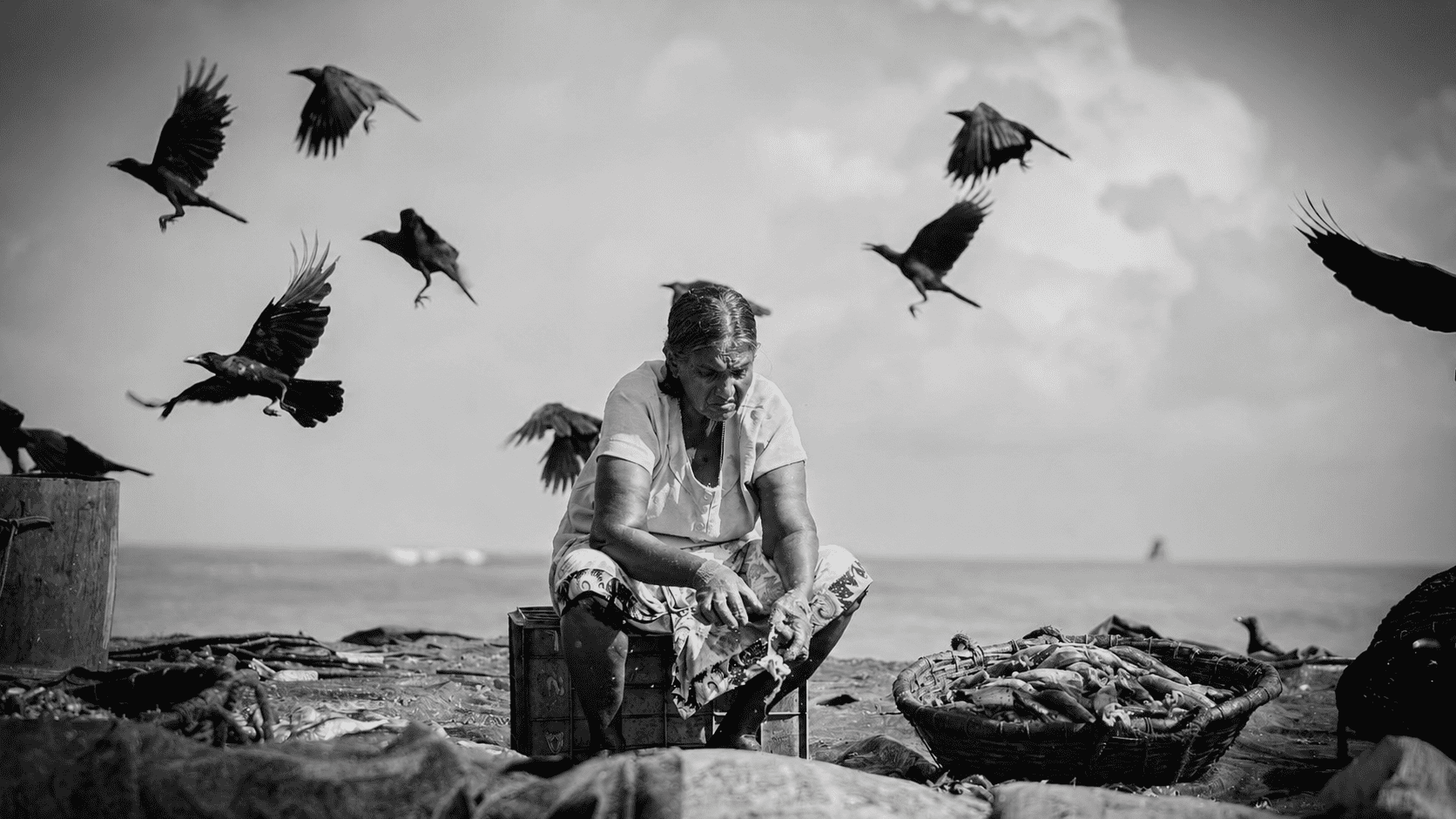 Life Between the Waves(රළ අතර ජීවිතය) — frame 01